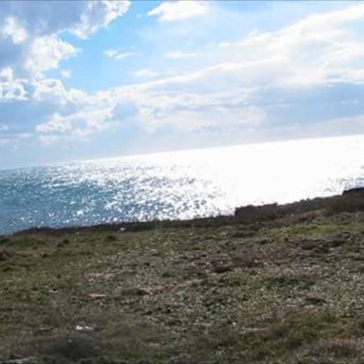 Donna Concetta Casa Vacanze Felline Exterior photo
